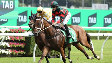 surround stakes|Surround Stakes 2025 Betting Guide .